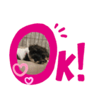 ゆりじら2（個別スタンプ：4）