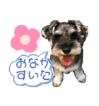 ゆりじら2（個別スタンプ：7）