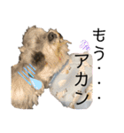 ゆりじら2（個別スタンプ：11）
