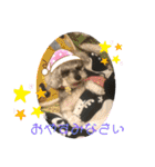 ゆりじら2（個別スタンプ：19）