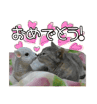 ゆうたろうのやつ4（個別スタンプ：10）