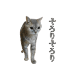 ゆうたろうのやつ4（個別スタンプ：12）