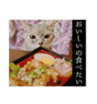 ゆうたろうのやつ4（個別スタンプ：15）