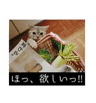 ゆうたろうのやつ4（個別スタンプ：16）