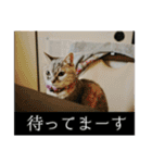 ゆうたろうのやつ4（個別スタンプ：17）