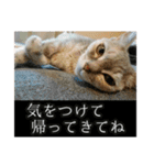 ゆうたろうのやつ4（個別スタンプ：19）