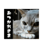 ゆうたろうのやつ4（個別スタンプ：20）