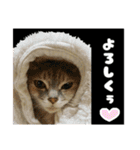ゆうたろうのやつ4（個別スタンプ：21）