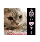 ゆうたろうのやつ4（個別スタンプ：23）
