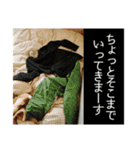 ゆうたろうのやつ4（個別スタンプ：24）