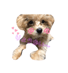 エル❤︎コロモ❤︎（個別スタンプ：1）