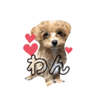 エル❤︎コロモ❤︎（個別スタンプ：2）