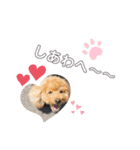 エル❤︎コロモ❤︎（個別スタンプ：8）