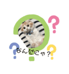 もぉこマロ（個別スタンプ：5）