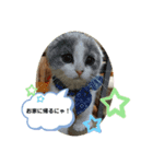 もぉこマロ（個別スタンプ：8）