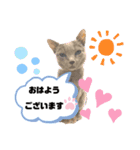 ロシアンブルーと友達ねこ（個別スタンプ：1）