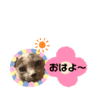 ロシアンブルーと友達ねこ（個別スタンプ：2）