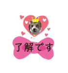 ロシアンブルーと友達ねこ（個別スタンプ：6）