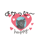 ロシアンブルーと友達ねこ（個別スタンプ：8）