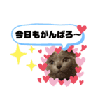 ロシアンブルーと友達ねこ（個別スタンプ：16）