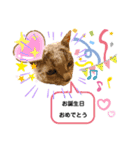 ロシアンブルーと友達ねこ（個別スタンプ：18）