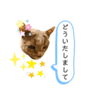 ロシアンブルーと友達ねこ（個別スタンプ：22）