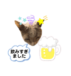 ロシアンブルーと友達ねこ（個別スタンプ：28）