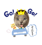 ロシアンブルーと友達ねこ（個別スタンプ：33）