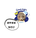 ロシアンブルーと友達ねこ（個別スタンプ：34）
