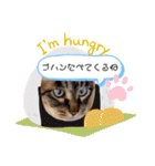 ロシアンブルーと友達ねこ（個別スタンプ：38）