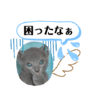 ロシアンブルーと友達ねこ（個別スタンプ：39）