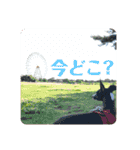 パオラ＆オルタ（個別スタンプ：13）