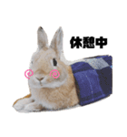 うさぎのとっとᕱ⑅ᕱ♥（個別スタンプ：9）
