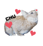 うさぎのとっとᕱ⑅ᕱ♥（個別スタンプ：15）