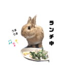 うさぎのとっとᕱ⑅ᕱ♥（個別スタンプ：16）