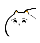 白いウミウシ2（個別スタンプ：4）