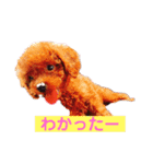 めるたん1（個別スタンプ：6）
