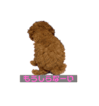 めるたん1（個別スタンプ：10）