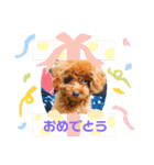 めるたん1（個別スタンプ：12）