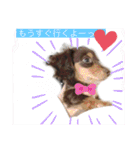 ©️onaぶらんど57 part1（個別スタンプ：4）
