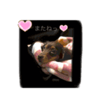 ©️onaぶらんど57 part1（個別スタンプ：6）