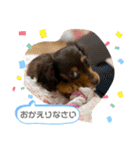 ©️onaぶらんど57 part1（個別スタンプ：11）