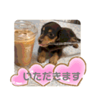 ©️onaぶらんど57 part1（個別スタンプ：16）
