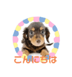 ©️onaぶらんど57 part1（個別スタンプ：21）