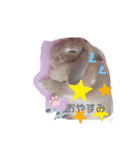 うさぎのおこげの日常（個別スタンプ：1）