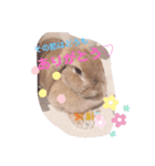 うさぎのおこげの日常（個別スタンプ：2）