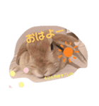 うさぎのおこげの日常（個別スタンプ：3）