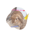うさぎのおこげの日常（個別スタンプ：4）