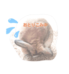 うさぎのおこげの日常（個別スタンプ：5）