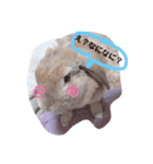 うさぎのおこげの日常（個別スタンプ：6）